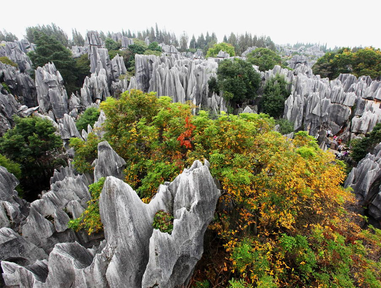 bosque piedra Yunnan China