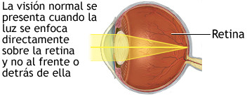vision normal retina