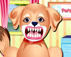 Juego con el dentista de mascotas juego-dentista-mascotas