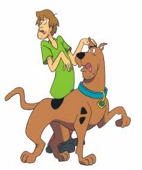Shaggy Scooby