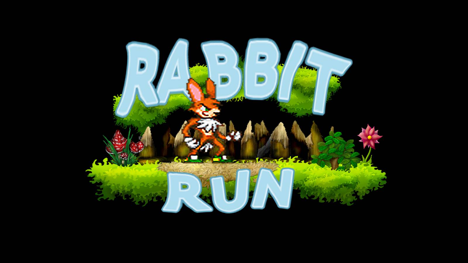 rabbit run