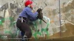 rescates animales gato