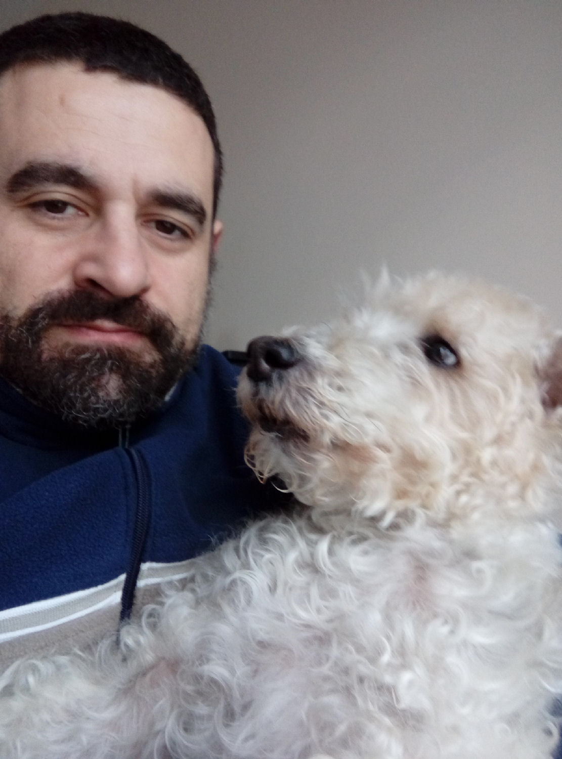 will fox terrier 21 dic 005