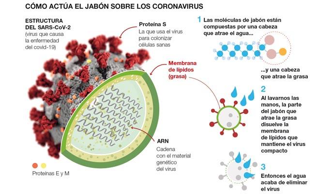 coronavirus jabon